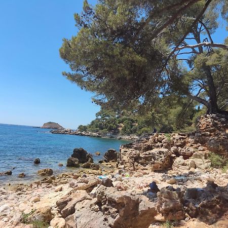 Charmant Studio 2A4 Pers Avec Jardin Et Place De Parking Situe A 5 Min A Pied De La Mer Bandol Εξωτερικό φωτογραφία