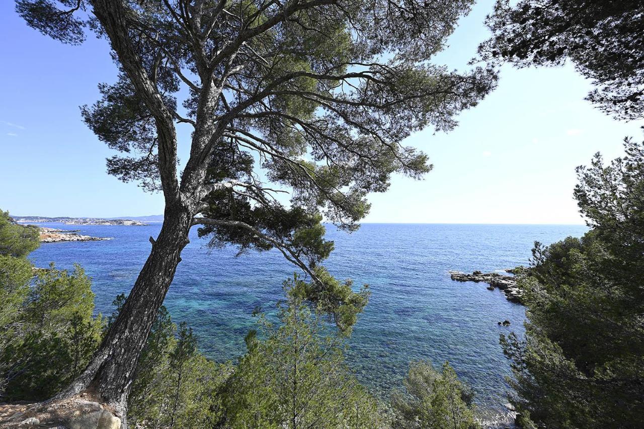 Charmant Studio 2A4 Pers Avec Jardin Et Place De Parking Situe A 5 Min A Pied De La Mer Bandol Εξωτερικό φωτογραφία