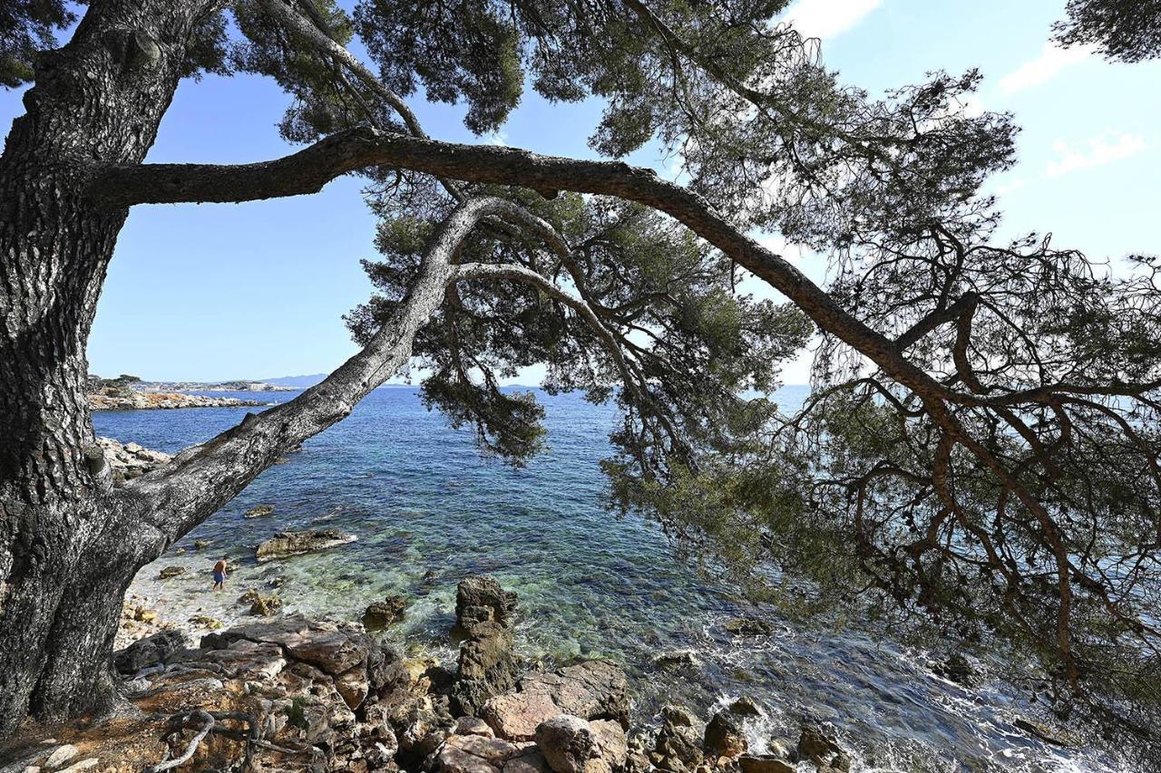 Charmant Studio 2A4 Pers Avec Jardin Et Place De Parking Situe A 5 Min A Pied De La Mer Bandol Εξωτερικό φωτογραφία