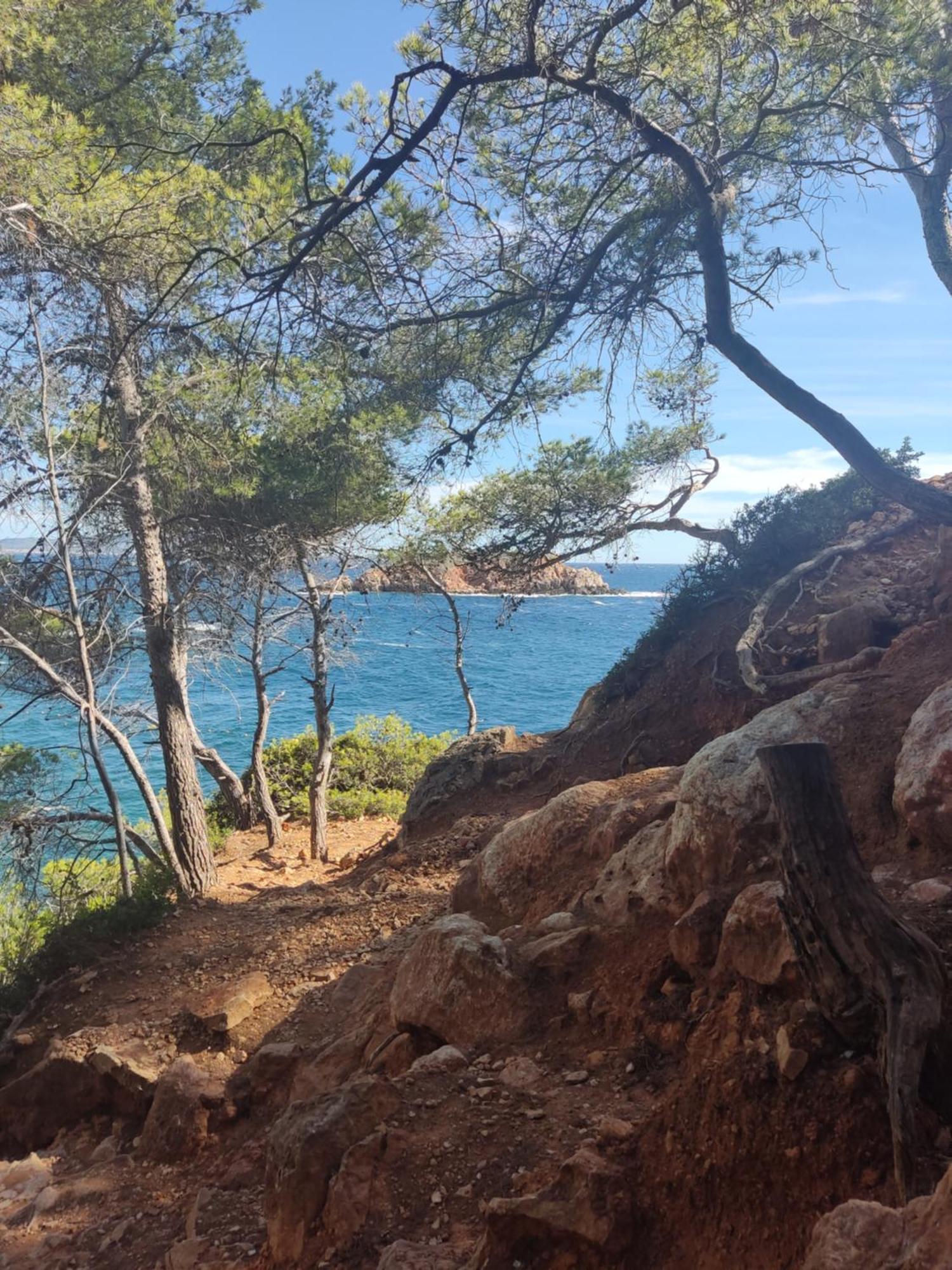 Charmant Studio 2A4 Pers Avec Jardin Et Place De Parking Situe A 5 Min A Pied De La Mer Bandol Εξωτερικό φωτογραφία